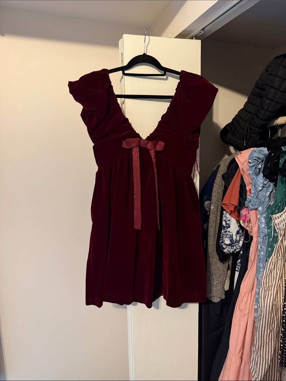 Endless rose velvet dress
